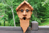 Wizard Shaped Amish Made Birdhouses From Harvest Array
