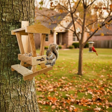Squirrel Feeders