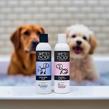 Dog Collars & Leashes