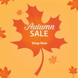 Sales Flyer