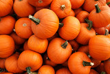 National Pumpkin Day: Celebrate Fall’s Favorite Flavor