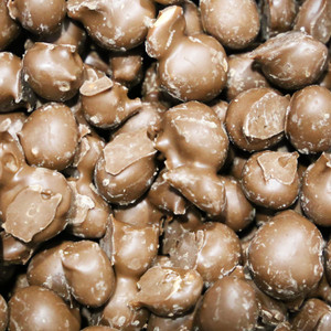 Chocolate Double Dipped Peanuts make great gifts. Purchase online at harvestarray.com before they're gone.