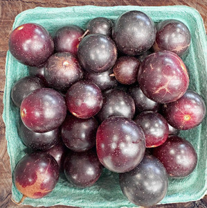 Image of fresh muscadine grapes from a Western North Carolina farmers market.