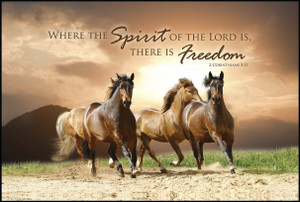 Inspirational Plaques - 9" X 6"