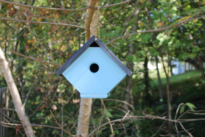 Front view hanging from the tree of the baby blue wren house