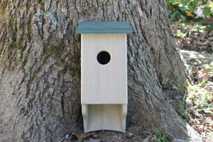Hang this beige and green bluebird house in an appropriate tree visual to the birds.