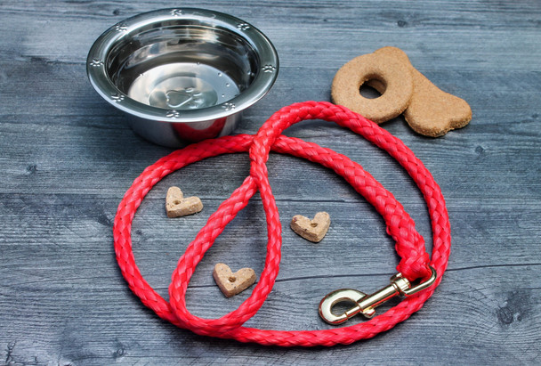 Red Soft Braided Dog Leash.