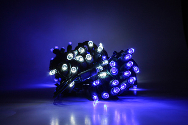 Outdoor LED Lighted Christmas Tree, Green Base, and Blue and White Lights