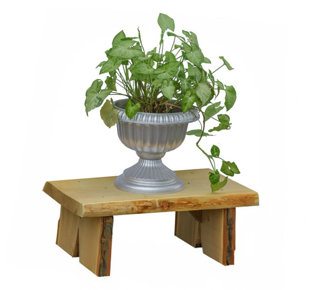 24 inch Briar Patch Flower Pot Bench with Natural Stain, shown with large plant in a pot.