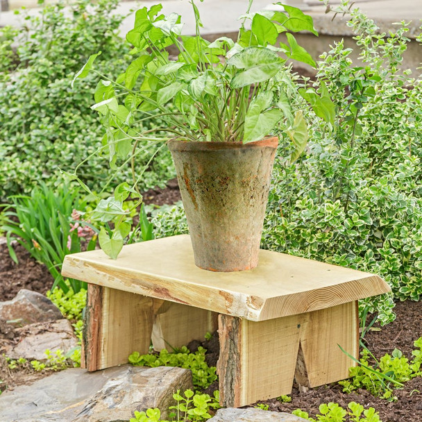 Amish Handcrafted Unfinished 24 inch Briar Patch Flower Pot Bench with Live Edges. This plant stand is for decorative use indoors or out. 