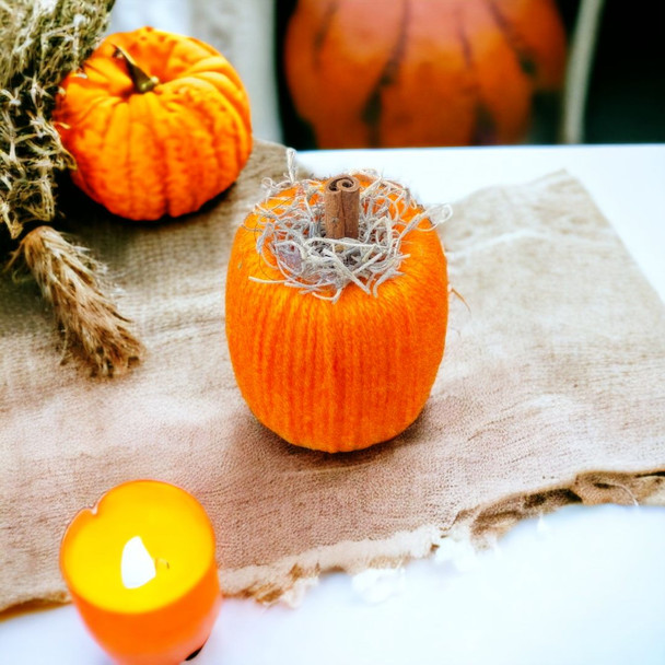 Top-Down view of our small pumpkin 