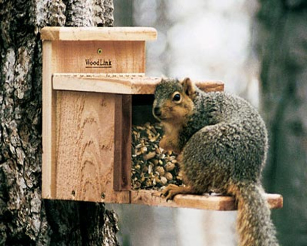Cedar Wood Squirrel Feeder