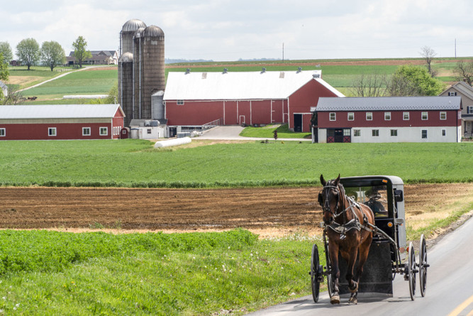 Amish Foods Online:  Traditional Amish Pantry Foods from Small American Kitchens