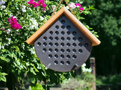 Peanut Butter Poly Bird Feeders