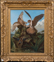 Large 19th Century Pairs Of Hawks Fighting Bird John James AUDUBON (1785-1851)