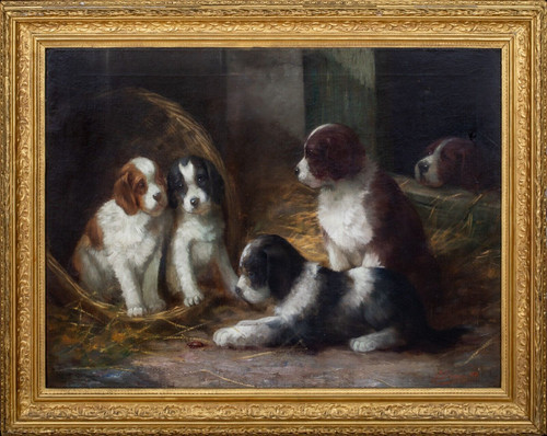 Large 19th Century French Spaniel Puppies Interior Dog Portrait by G DE CAUVILLE