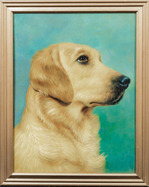 Early 20th Century Labrador / Golden Retriever Dog Portrait Antique Oil Painting