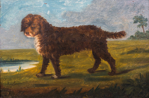 18th Century English School Portrait Of A Portuguese Water Spaniel Dog