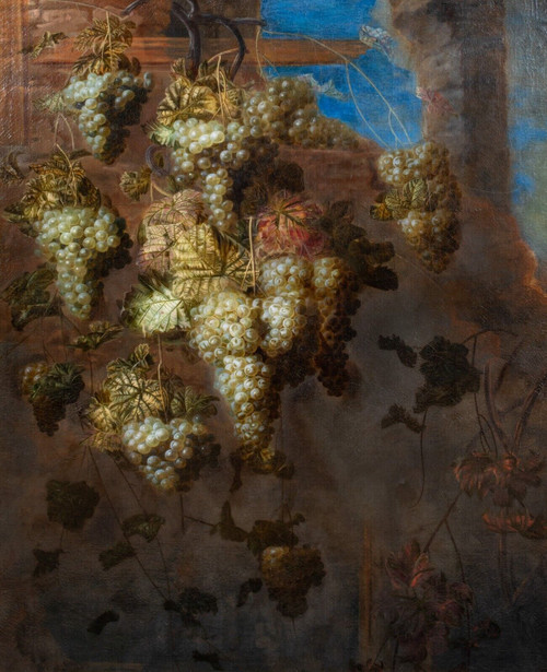 Huge 17th Century Grapes Vine Vineyard Pierre Antoine Lemoyne (1605-1665) Wine