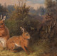 19th Century  Study Of Wild Rabbits Hares Hunting William Melchior (1817-1860)