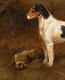 Large 19th Century Wire Fox Terrier Portrait & Hare FREDERICK FRENCH (1860-1916)