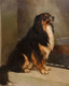 Large 19th Century English School Portrait Of A Collie Dog by ANNIE SMITH