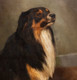 Large 19th Century English School Portrait Of A Collie Dog by ANNIE SMITH