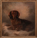Early 20th Century English Portrait of A Brown Long Haired Dachshund Dog FOSTER