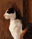 Large 19th Century French Parisian Cat Portrait Théophile Alexandre STEINLEN