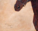 19th Century Portrait Sketch of A Horse Racehorse Arthur WARDLE (1864-1949)