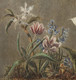 19th Century Bontanical Study Orchid Tulip Hyacinth Crocuses Peace Lily Geranium
