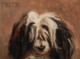 19th Century French Sheepdog "Fritz" Dog Portrait Rene-Xavier Prinet (1861-1946)