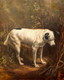19th Century Portrait Jack Russell Terrier Philip Eustace Stretton (1865-1919)