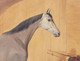 Large 19th Century English Dapple Grey Race Horse In A Stable Portrait