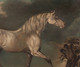 18th Century White Arabian Race Horse "Lop By Crop" George Stubbs (1725-1806)