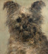 19th Century British School Tottie The Highland Terrier Dog Portrait 1887