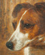 19th Century Portrait of "Spot" Jack Russel Terrier Dog Portrait RICHARD MOSELEY
