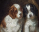 Large 19th Century French Spaniel Puppies Interior Dog Portrait by G DE CAUVILLE