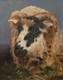 19th Century English Study Portrait Of A Rams Head / Sheep by John CRANE 