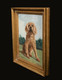 Early 20th Century English School Portrait Of A Brown Spaniel Dog "Jason"