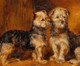 Large 19th Century Scottish Portrait Of Terrier Dog Puppies by JOHN MCLEOD
