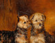 Large 19th Century Scottish Portrait Of Terrier Dog Puppies by JOHN MCLEOD