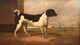 Large 19th Century Portrait Of A Black & White Terrier Dog "Orlando" Landscape