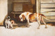 Large 19th Century English School Hound Dog Mother & Her Puppies Portrait