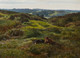 Large 19th century Wimbledon Common Landscape Sidney Richard Percy (1821-1886) 