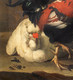 19th Century Birds Landscape Rooster Hens Pigeon Chicks MELCHIOR D'HONDECOETER