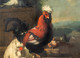 19th Century Birds Landscape Rooster Hens Pigeon Chicks MELCHIOR D'HONDECOETER