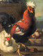 19th Century Birds Landscape Rooster Hens Pigeon Chicks MELCHIOR D'HONDECOETER