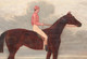 19th century Portrait Of Sefton Epsom Derby John Frederick I HERRING (1795-1865)