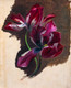 19th Century French Still Life Study Of A Tulip Simon SAINT-JEAN (1808-1860)